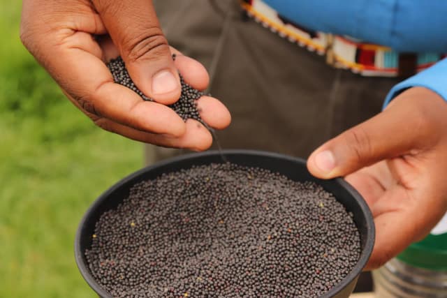 Farm inputs provision